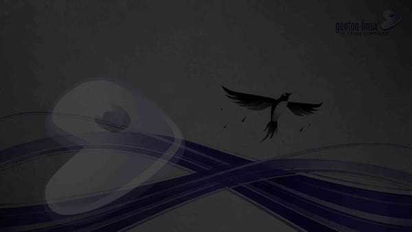 Transitioning Away from Gentoo: A Decade-Long Linux Journey